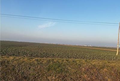 Teren de 5755 mp, în Nojorid - 1