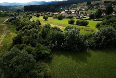 Teren de 800 mp, în Cărpiniș