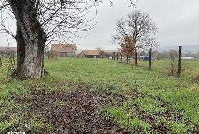 Teren de 1203 mp, în Comana - 6