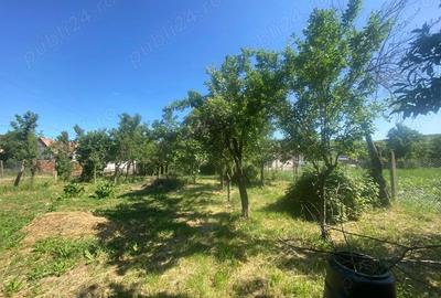 Casa 4 camere, curte individuala, 1350 mp teren, in ?ura Mare, Sibiu - 7