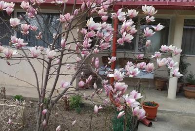 Casă cu 11 camere în Central - 9