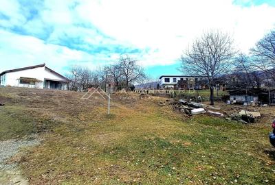 Teren construibil 1195 mp, Faget (incadrare urbanistica LID) - 4