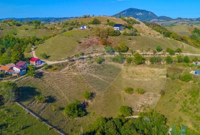 Teren extravilan 6,014mp | Holbav | BRASOV | COMISION 0| - 5