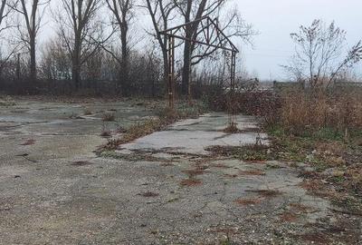 Hala ideal productie Oltenita - 19