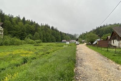 Oportunitate - 6390 mp intravilan Predeal - ideal proiect A Frame - 4