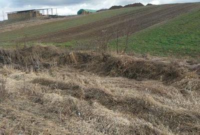 Teren de 5800 mp, în Crișeni - 2