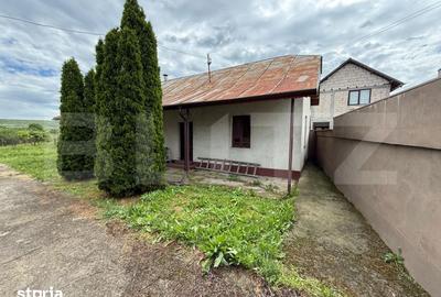 Casă cu 6 camere cu Teren 3082 Mp în Coțofenii din Față - 3
