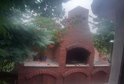 Vila cu 16 camere, ideala pentru azil de batrani sau turism - 2