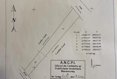 Teren la 13 KM de Baia Mare - 2