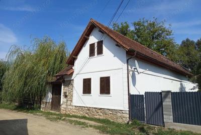 Ilidia, Afacere la Cheie, Casa de Vacanta 20 Incaperi, ZERO Comision - 4