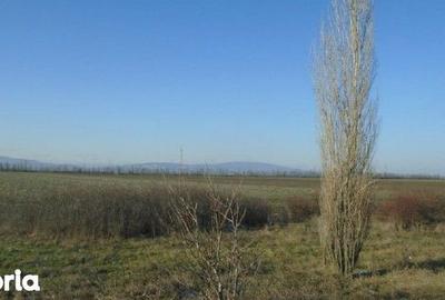 Teren de 5800 mp, în Central - 1
