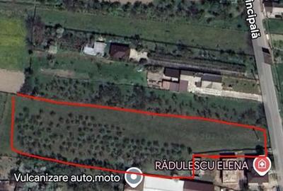 Teren în Pruni - 20