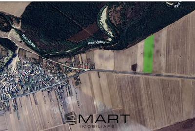 Teren agricol extravilan de 11900 mp, în Scrioaștea - 3