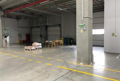 Inchiriere depozit/hala/spatiu industrial Mogosoaia - Centura, Ilfov - 10