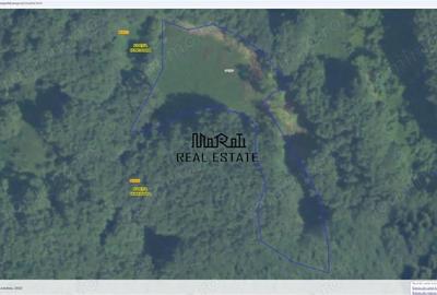 Teren de 5727 mp, în Buceș - 2