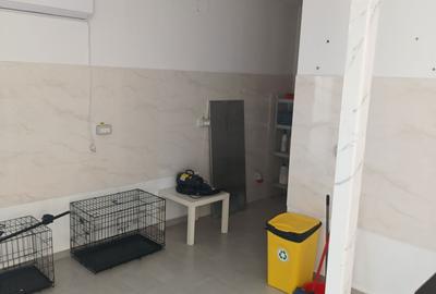 Spațiu comercial, de 40 mp, în Central - 6