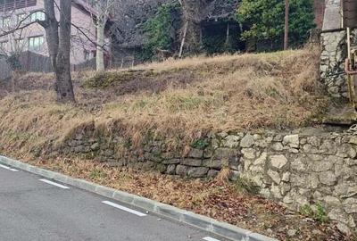 Teren Caciulata 650 mp Valcea - 3