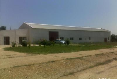 Spațiu comercial, de 2,000 mp, în Mangalia - 1