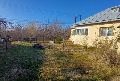 Casa sat NEDELEA + teren 2660 mp - 5