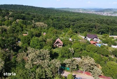 Casă cu Teren 601 Mp în Central - 3