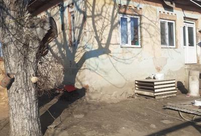 Casă cu 4 camere în Ostroveni - 4