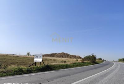 Teren agricol extravilan de 2500 mp, în Cocorăștii Colț - 3