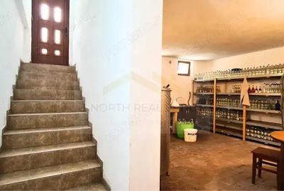 Pensiune/ Vila de vanzare Orlat Sibiu - 12