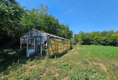 Proprietate la ?ara casa batraneasca + anexe + teren 2.713 mp - 3