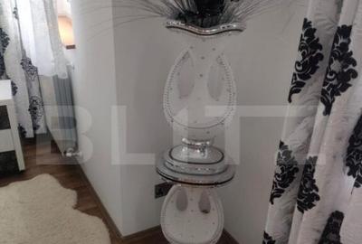 Casa cu 8 camere ,mobilata si utilata zona Marginea, Radauti - 12