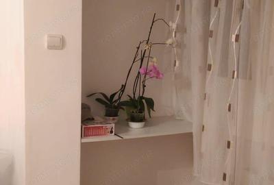 Apartament 3 camere la parter in Lunca ID 642 - 2