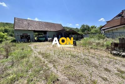 Teren Imprejmuit, 3514mp, Asfalt, Ciugud - 10