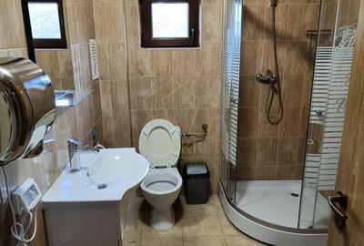 Spațiu comercial, de 250 mp, în Lipovei - 3