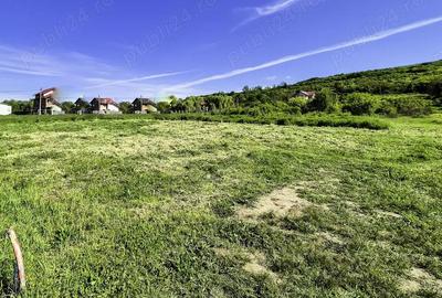 Teren intravilan Vranesti , Calinesti Arges - 1