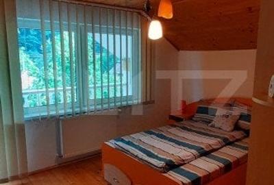 Casa de vacanta  pretabila pentru pensiune autorizata - 13
