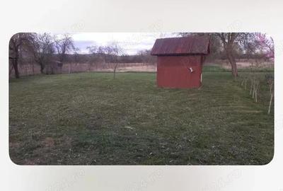 Casă cu 6 camere în Bata - 5