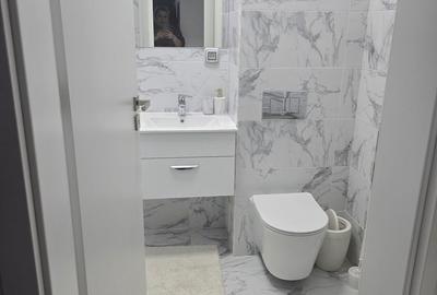 Apartament cu 3 camere în Calea București - 2