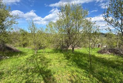 Spațiu comercial, în Cucuteni - 6