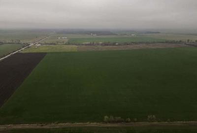 Teren 84000 mp la 20 km de Arad, la DN79 - 2