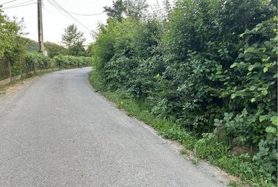 Teren de 5724 mp, în Hărțăgani - 4