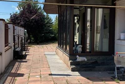 Casă cu 6 camere cu Teren 1753 Mp în Dumbrăvița - 4
