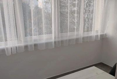 Apartament cu 2 camere semidecomandat, mobilat în Rahova - 8