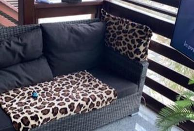 Casa individuala-Teren 250mp - Mobilata-Utilata - 13