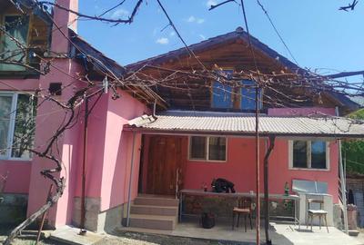 Casă cu 4 camere în Cernișoara - 8