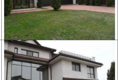 Iancu Nicolae:Vila zona exclusivista,pretabila activitati comerciale - 2