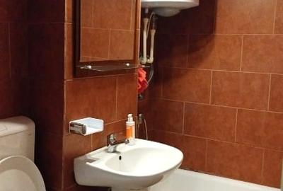 Apartament cu 2 camere, complet renovat, vedere superbă Băile Herculane - 6