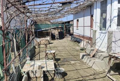 Casă cu 3 camere în Central - 3