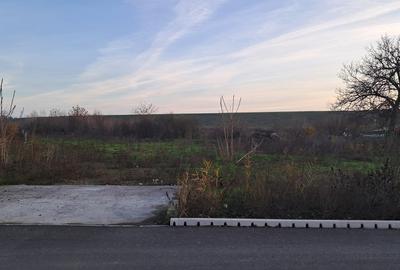 Teren în Cornetu - 3