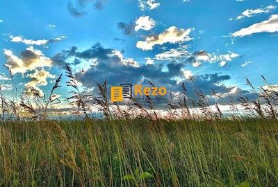 OTOPENI, DRUMUL ODAII, ION CREANGA, TEREN 14.926 MP INTRAVILAN OTOPENI, DRUMUL ODAII, ION CREANGA, TEREN 14.926 MP INTRAVILAN - 5