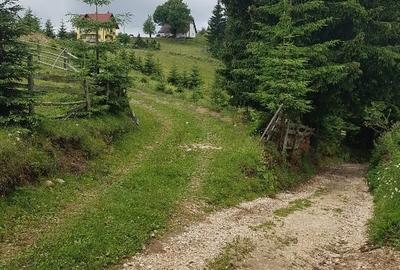 Teren intravilan de 3400 mp, în Fundata - 12