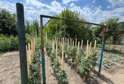 Casă spațioasă in Seica Mare - Centru | 92mpu 638mp teren - EXCLUSIVITATE - 6